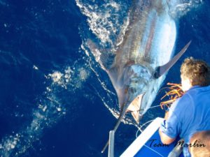 Pesca de Altura