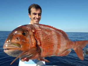Pesca de fondo