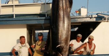 ATLANTIC-FISHING-CHARTER-1