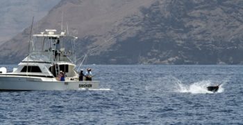 ATLANTIC-FISHING-CHARTER-13