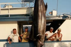 ATLANTIC-FISHING-CHARTER-14