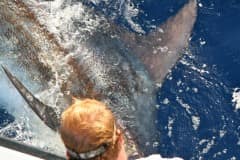 ATLANTIC-FISHING-CHARTER-17