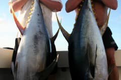 ATLANTIC-FISHING-CHARTER-21