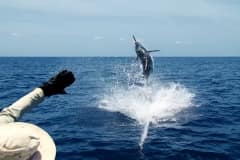 ATLANTIC-FISHING-CHARTER-25