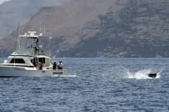 ATLANTIC-FISHING-CHARTER-29