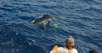ATLANTIC-FISHING-CHARTER-9