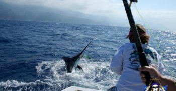 CAPT-DAVID-FISHING-MADEIRA-17