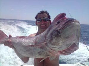 jigging