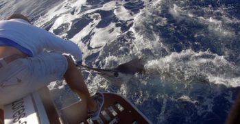 OCEANTUR-RABAO-12