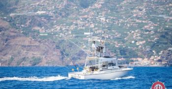 SEA-FOX-26