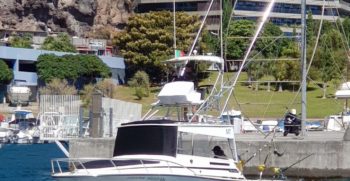 SEA-FOX-28