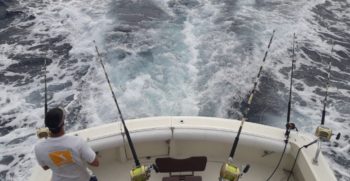 rubicon-fishing-3