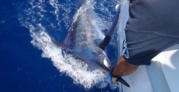 rubicon-fishing-4