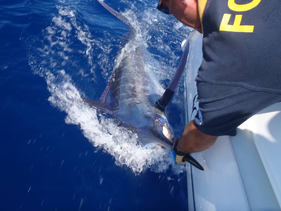 rubicon-fishing-4